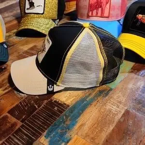 Goorin Bros | Accessories | Goorin Bros Pretty Angel Fish 